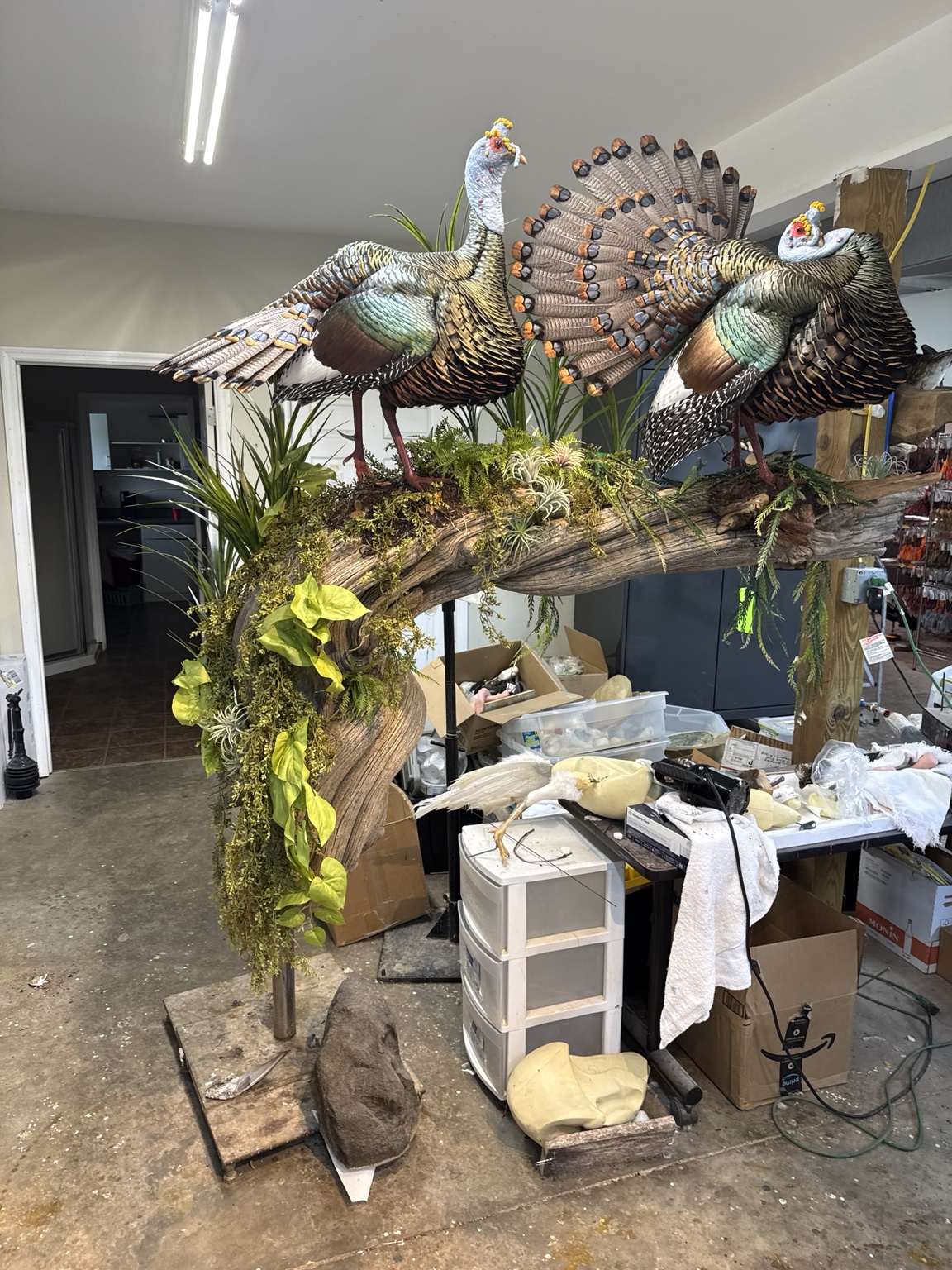 Detailed turkey taxidermy display